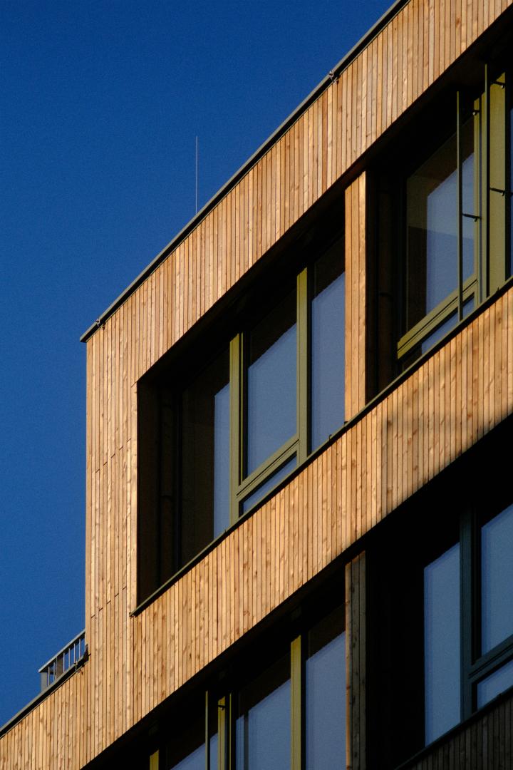 Premium Wood Artwork of Global Standards